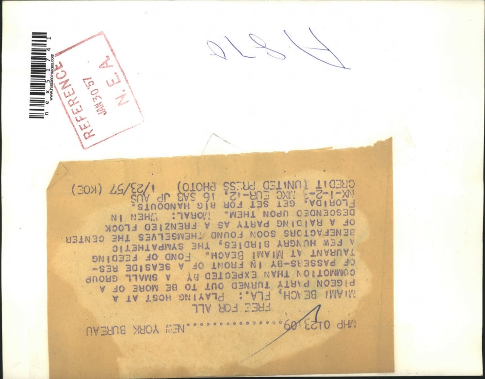 1957 Press Photo Miami Beach Fla pigeons at a seaside restaurant