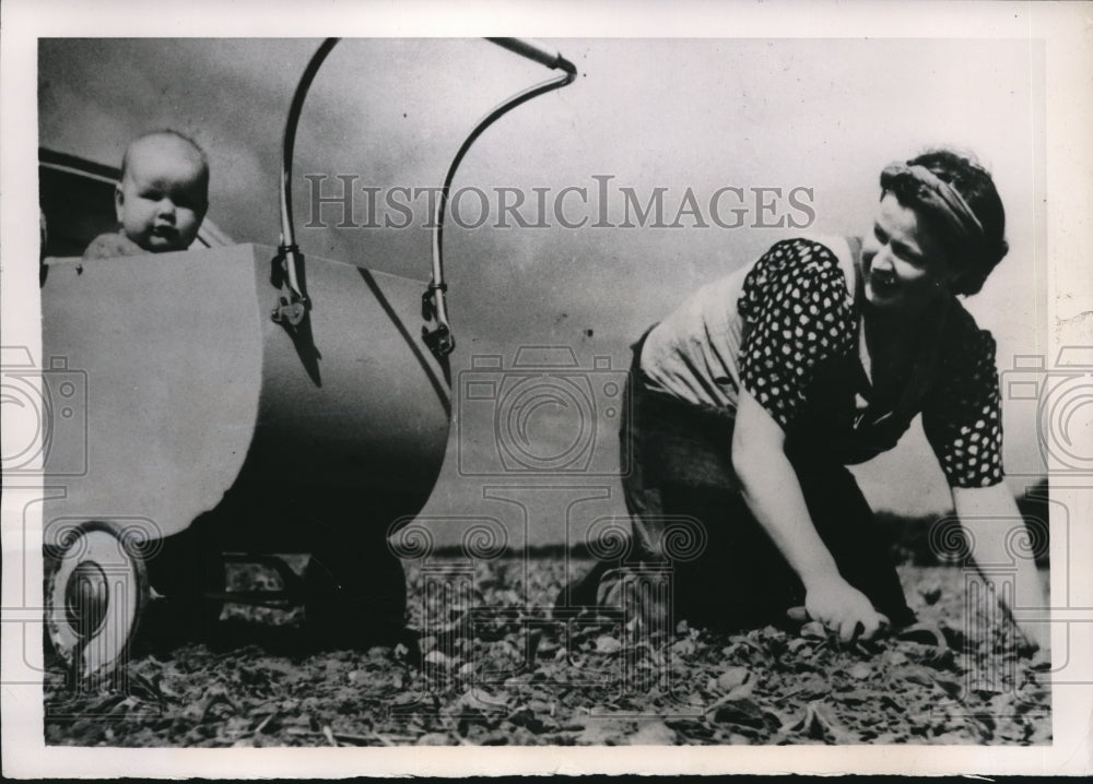 1949 Press Photo Skane Swedem Mrs Elsa Lindgren farmers wife weeds turnips