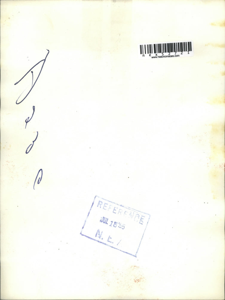 1955 Press Photo "Buff" a cocker spaniel on Lake Shore Drive