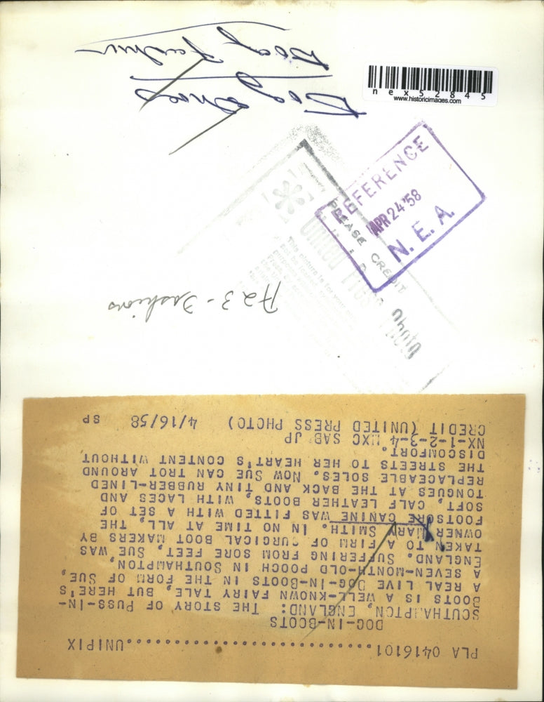 1958 Press Photo Mary Smith & Sue, 7-month old Pooch