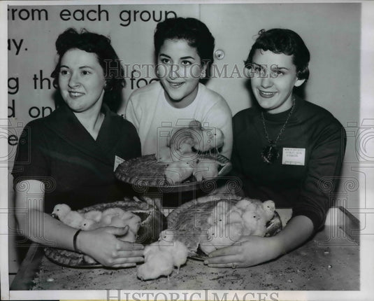 1957 Press Photo Chicago Natl Cheery Pie contest M Hebal, M Mushegan, LJ Robson