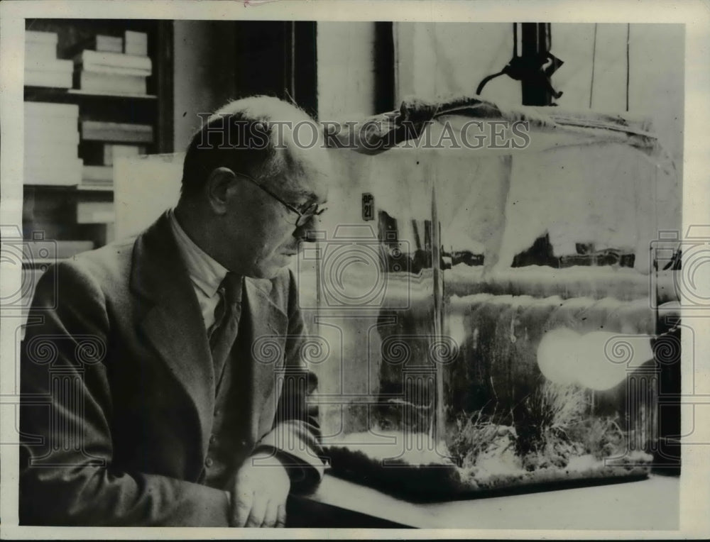 1932 Press Photo London RP Uvarov & locust experiments at Museum