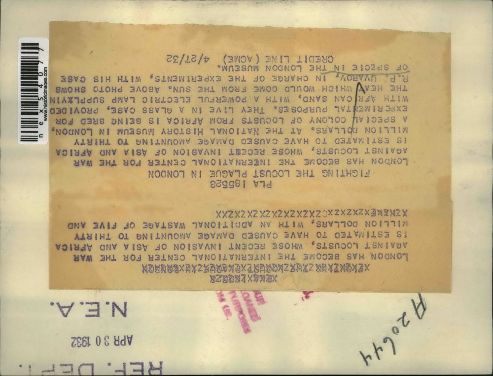 1932 Press Photo London RP Uvarov & locust experiments at Museum