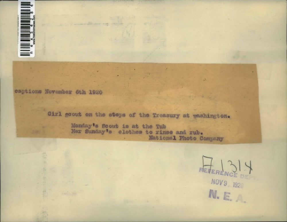 1920 Press Photo Girl Scouts on steps of Treasury bldg in Wash DC