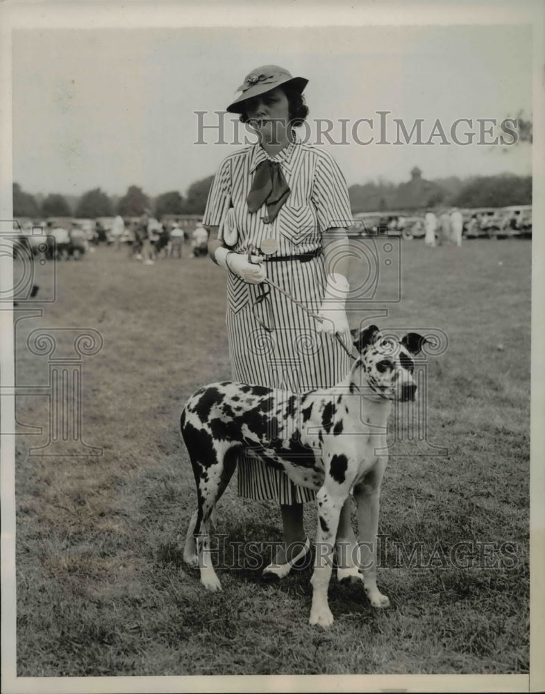 Load image into Gallery viewer, 1935 Press Photo Mrs Edward Hurd &amp; harlequin Great Dane at Monmouth show
