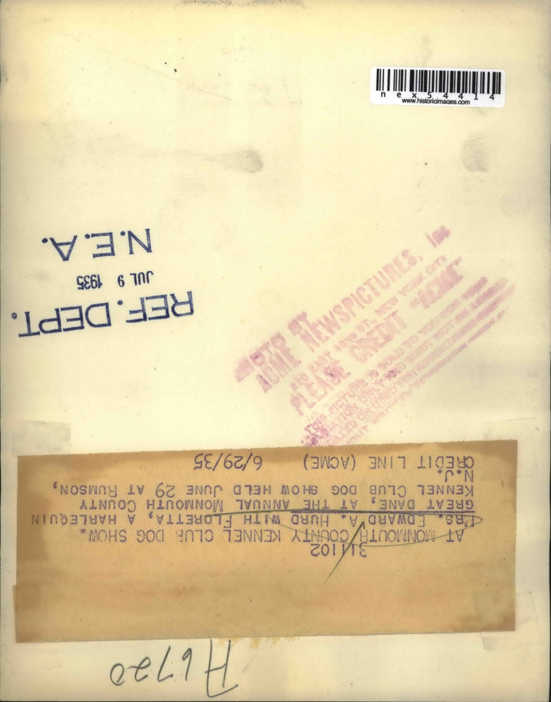 1935 Press Photo Mrs Edward Hurd & harlequin Great Dane at Monmouth show