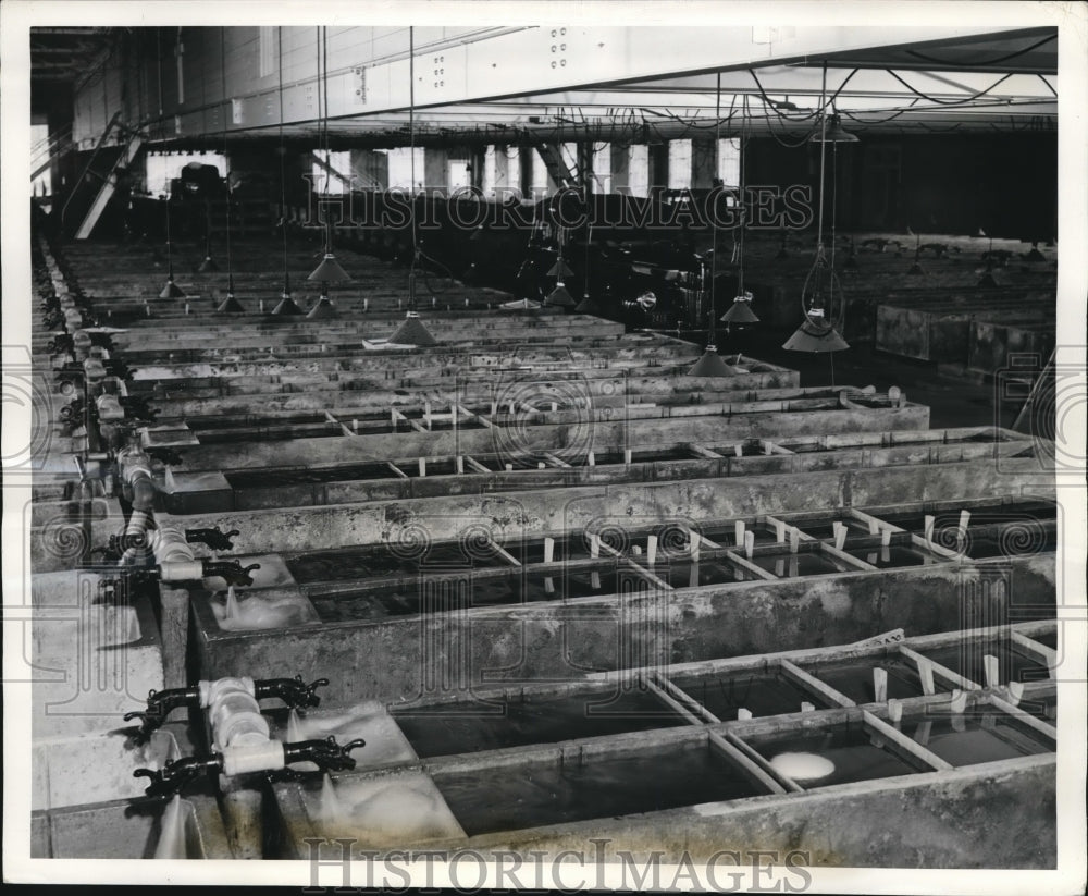 1940 Press Photo Salmon egg tanks at hatchery at Leavenworth Wash