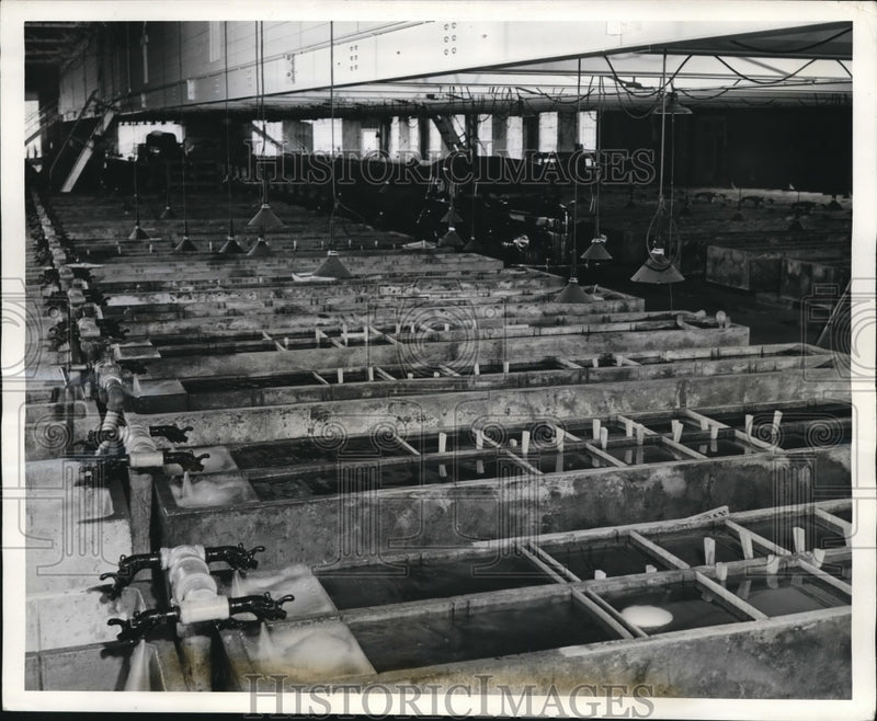 Load image into Gallery viewer, 1940 Press Photo Salmon egg tanks at hatchery at Leavenworth Wash
