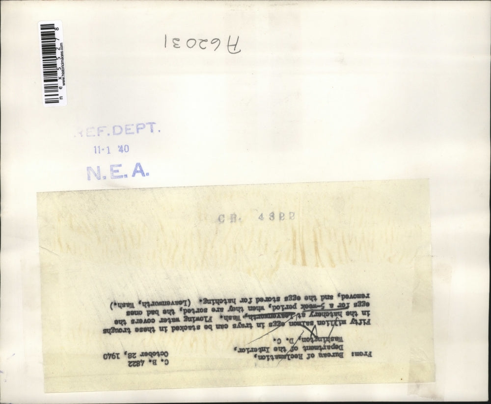 1940 Press Photo Salmon egg tanks at hatchery at Leavenworth Wash