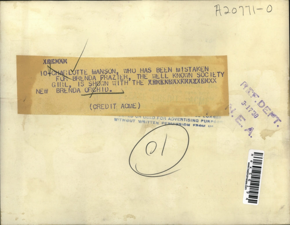 1939 Press Photo Charlotte Manson & the new Brenda orchid