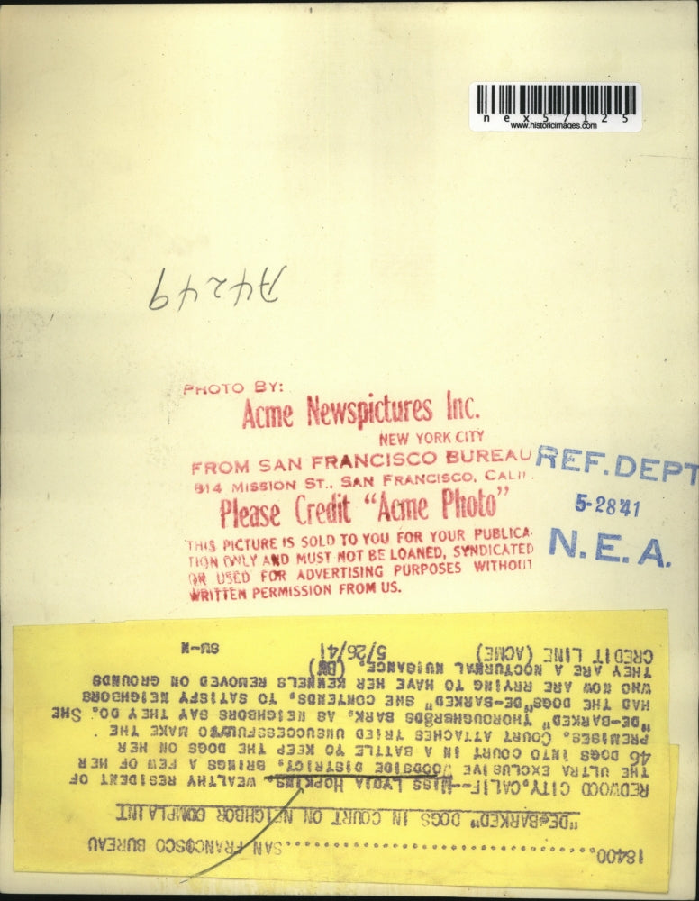 1941 Press Photo Lydia Hopkins in Nuisance Trial Has Dogs De Barked California