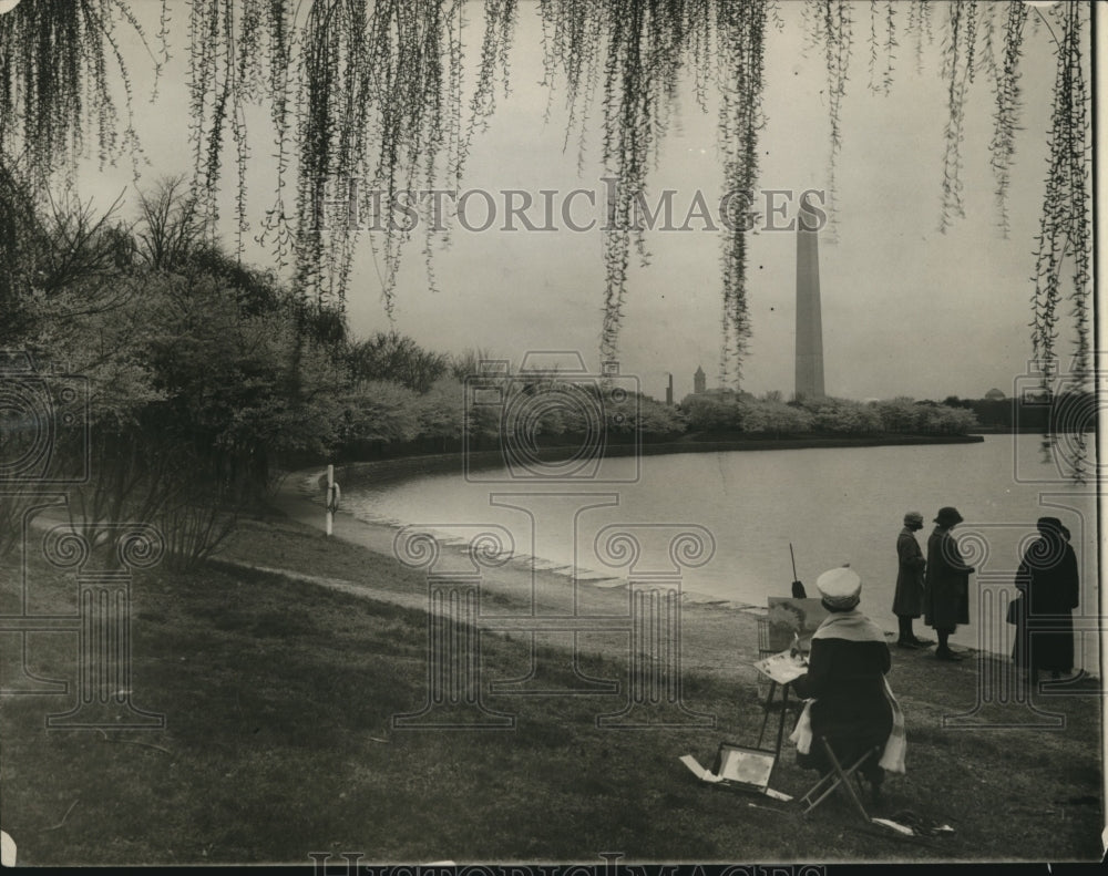 1922 Press Photo Japanese Cherry Trees During The Spring At The Capitol