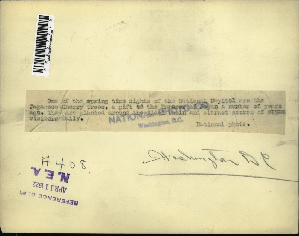 1922 Press Photo Japanese Cherry Trees During The Spring At The Capitol