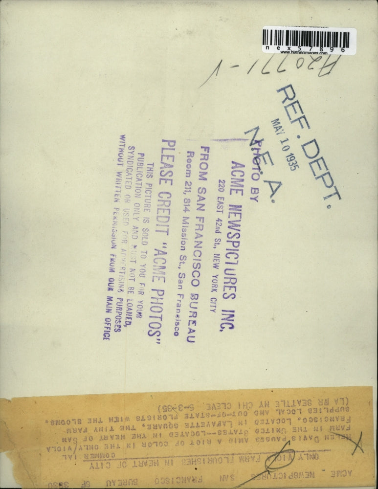 1935 Press Photo Helen Davis at only US viola farm in San Francisco