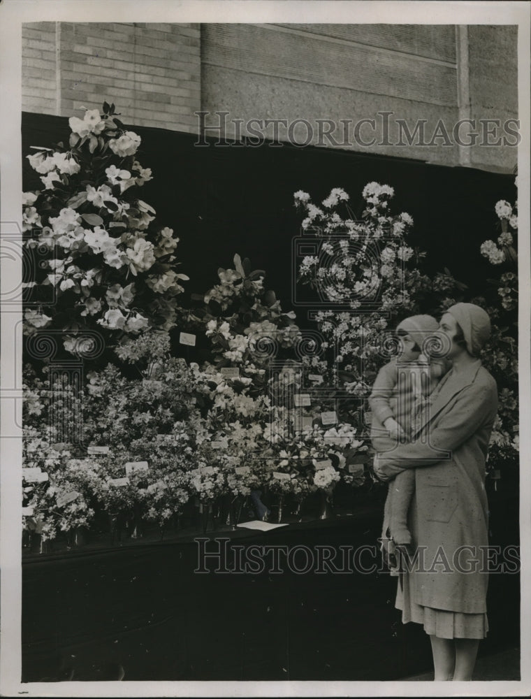 1931 Press Photo Rhododendro blossoms at Royal Agi Hall in London