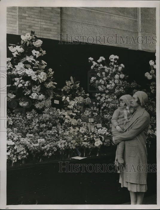 1931 Press Photo Rhododendro blossoms at Royal Agi Hall in London