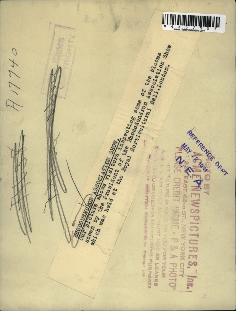 Load image into Gallery viewer, 1931 Press Photo Rhododendro blossoms at Royal Agi Hall in London
