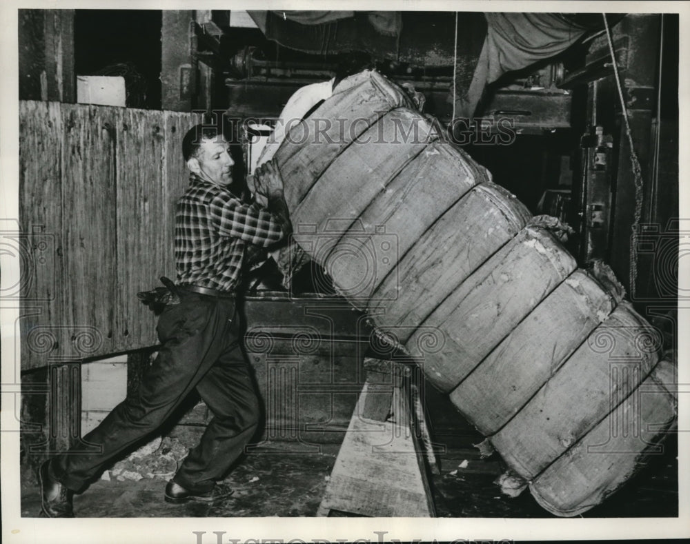 1961 Press Photo Irving Perlman show strength and endurance, prove not soft