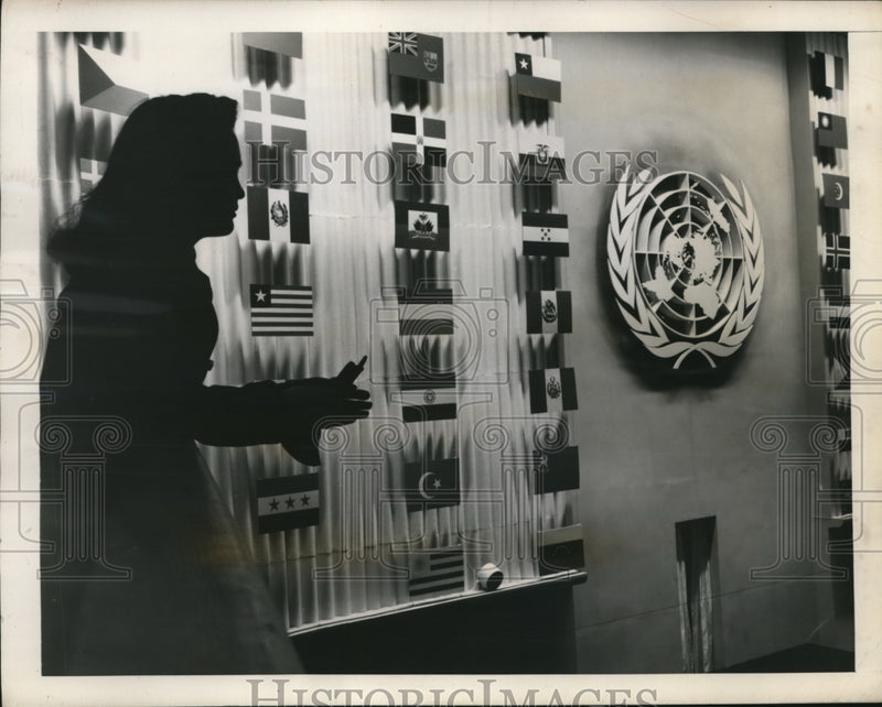 Load image into Gallery viewer, 1948 Press Photo A visitor to the Palais De Chaillot Theater
