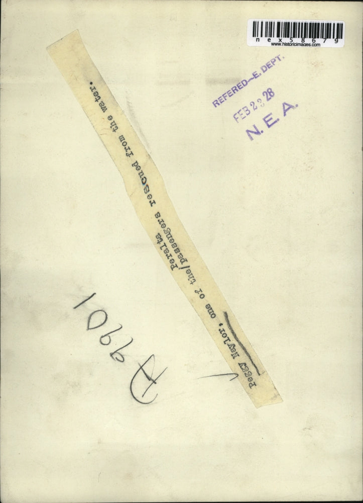 1928 Press Photo Peggy Naylor Peralta passenger rescued from water