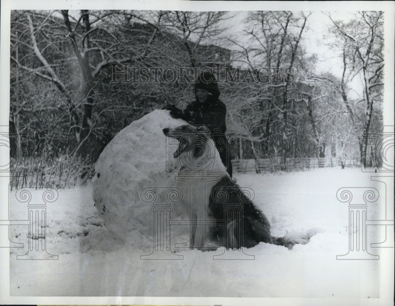 Load image into Gallery viewer, 1961 Press Photo Chicago Ill Larry Koff &amp; dog Silver play in snow
