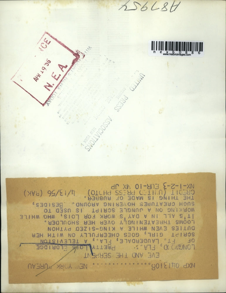 1956 Press Photo Longwood Fla Lois Eldridge TV script girl & python