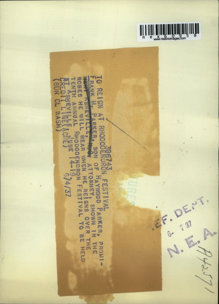 1937 Press Photo Frank M Parker King of 10th Rhodendron Fest at Ashville NC