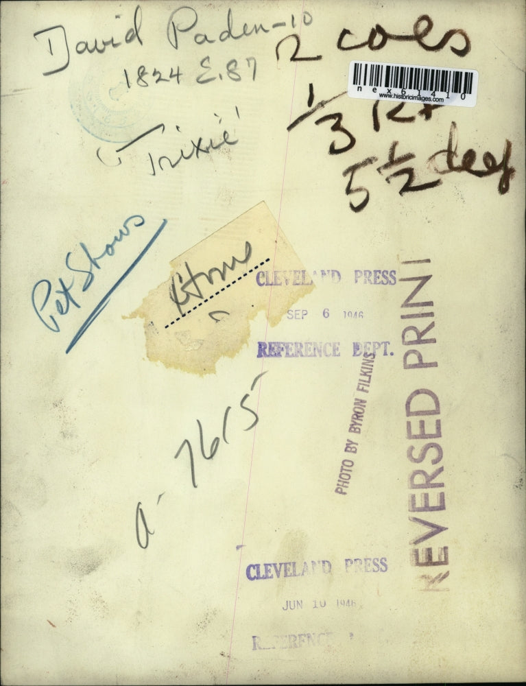 1923 Press Photo David Paden age 10 & his dog Trixie