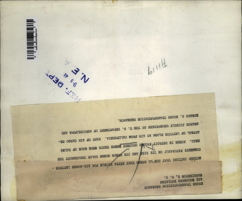 1944 Press Photo A mom & kids at a grocery market checks lettuce