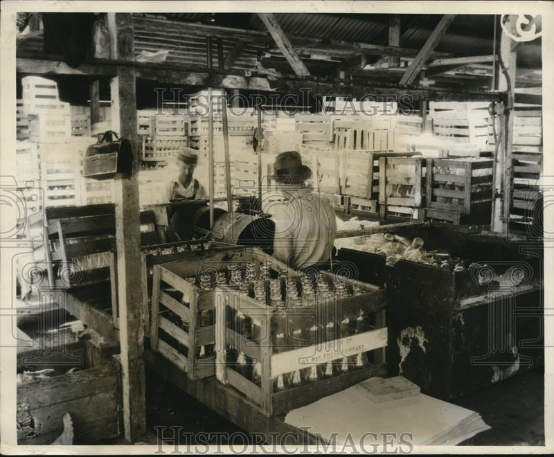 Load image into Gallery viewer, 1931 Press Photo Men washing bottles atmilk bottling facilty

