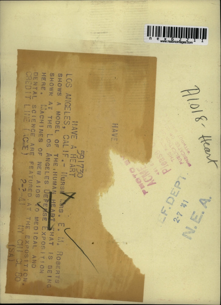 1941 Press Photo Nurse Mrs Roberts with model of human heart, Los Angeles Calif.