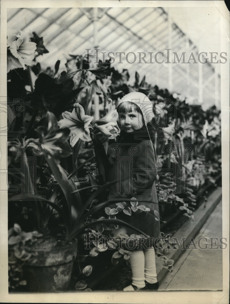 1928 Press Photo Mary Ketcham, 2 1/2 year old at the Annual Amaryllis Show
