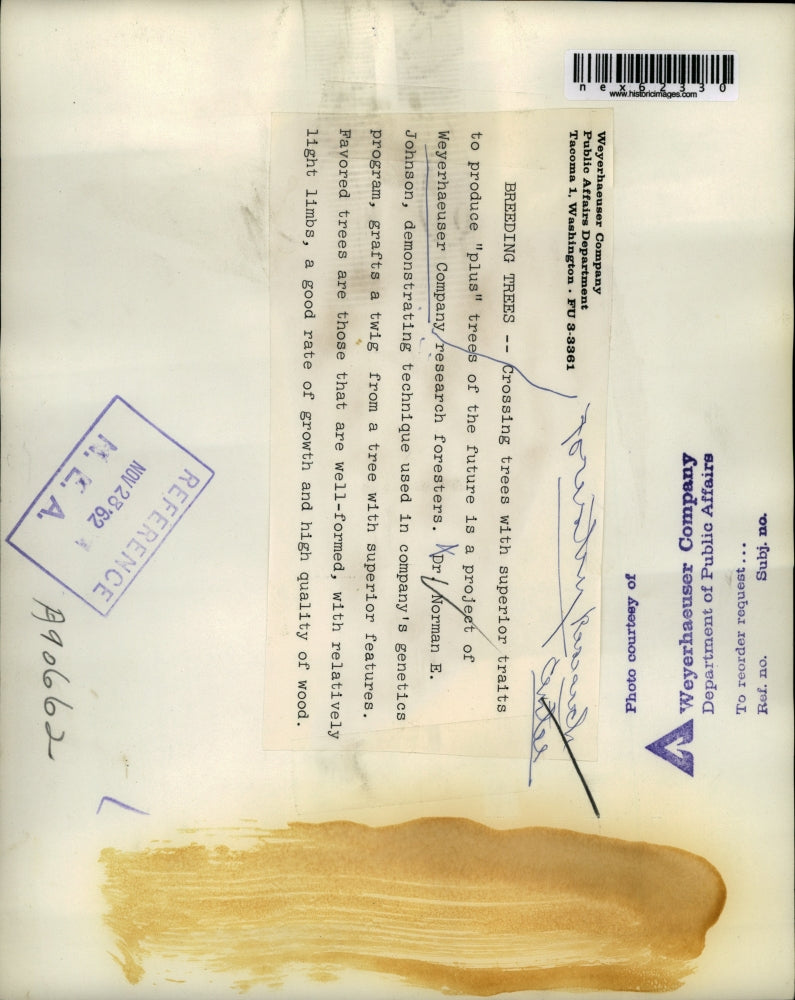 1962 Press Photo Weyerhauser Co. research forester Dr Norman Johnson