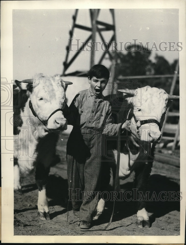 Load image into Gallery viewer, 1934 Press Photo Paul Alberti of Les Banos, California, 4H Club Member
