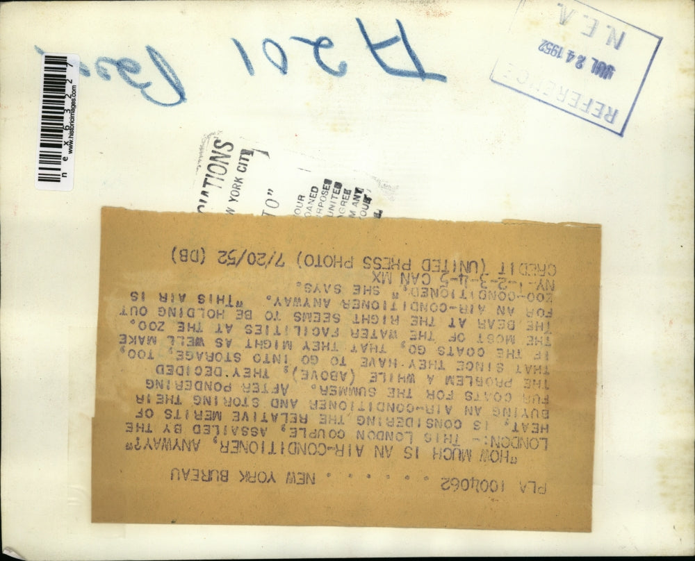 1952 Press Photo Bears Cool Off in Water in London Zoo