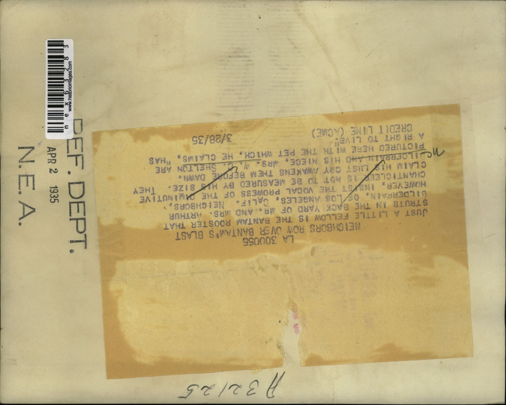 1935 Press Photo Noise Complaint on Silderrain and WC Shelton's Bantam Rooster