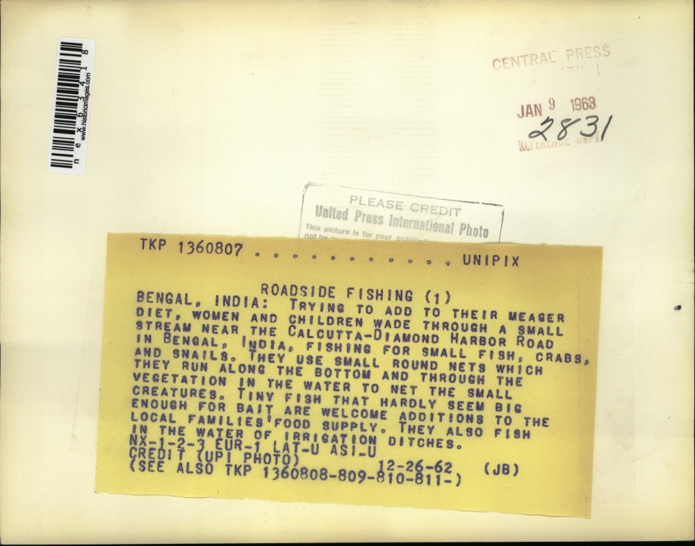 1962 Press Photo Bengal India women & kids catch small fish to add to diet