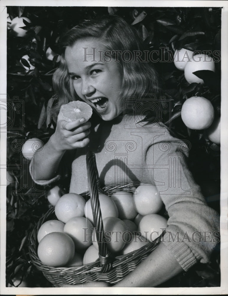 Load image into Gallery viewer, 1958 Press Photo Cypress Gardens Fka Jane May &amp; oranges in a grove
