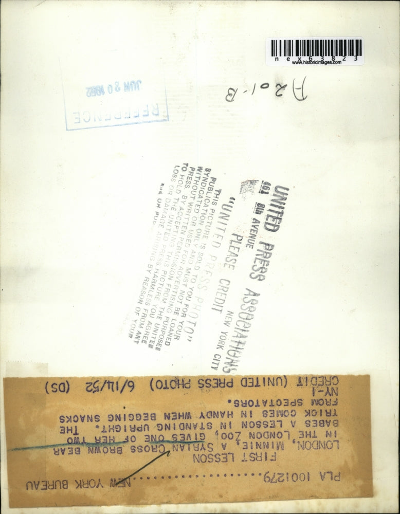 1952 Press Photo Minnie a Syrian brown bear & cub at London zoo