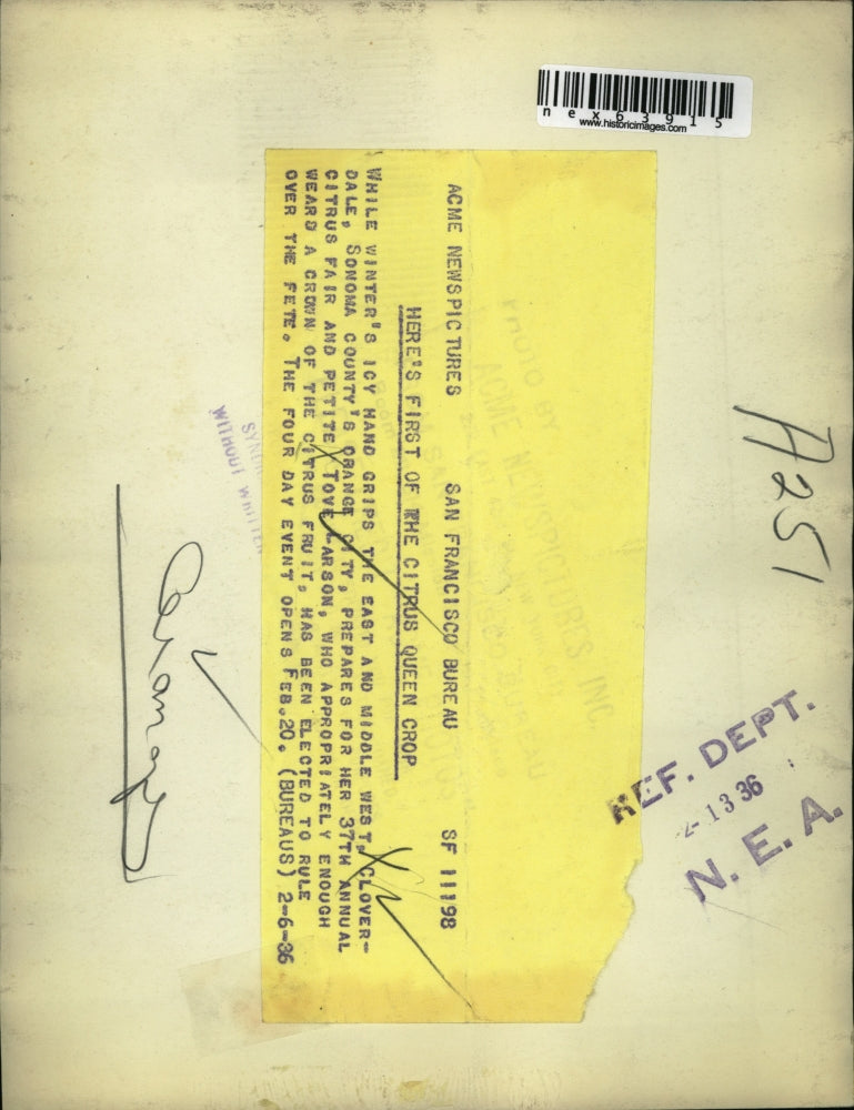 1936 Press Photo Petite Tove Larson at the 37th Annual Citrus Fair