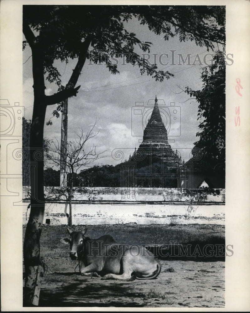 1970 Press Photo Pagan Burma a ancient temple & a cow rests nearby