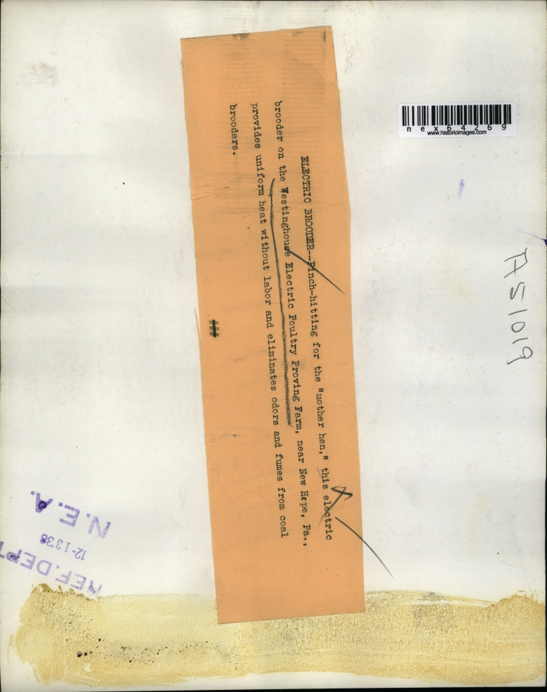 1938 Press Photo Electric Brooder, Westinghouse Electric Poultry Proving Farm