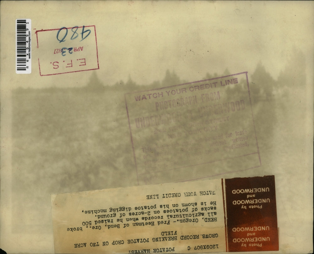 1927 Press Photo Bend Oregon Fred Heetman raises 500 sacks of potatoes on 2 acre