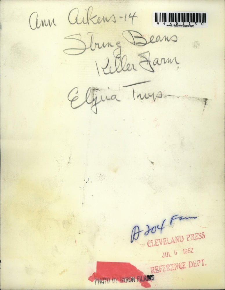 1962 Press Photo Ann Aikens, 14, at String Beans Keller farm