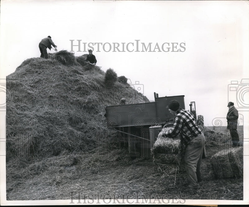 Load image into Gallery viewer, 1950 Press Photo Monks working the farm bailing hay - nex66605
