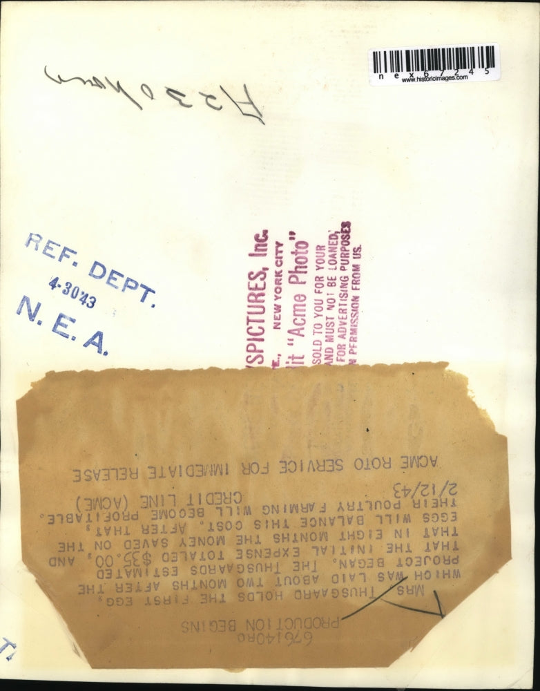 1943 Press Photo Mrs. Thusgard, holds the first egg in their poultry farm