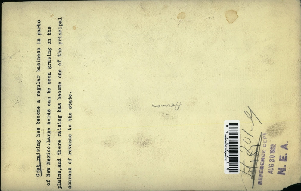 1922 Press Photo Goats & faemers in New Mexico