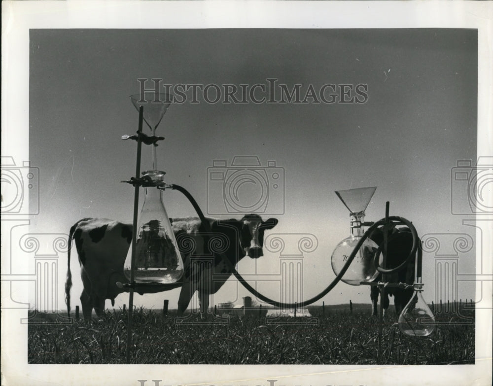 1964 Press Photo Producers Creamery Company continue research on milk