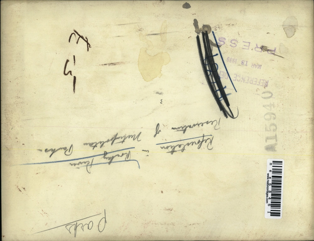 1939 Press Photo Reforestation area of Rocky River parks in Ohio