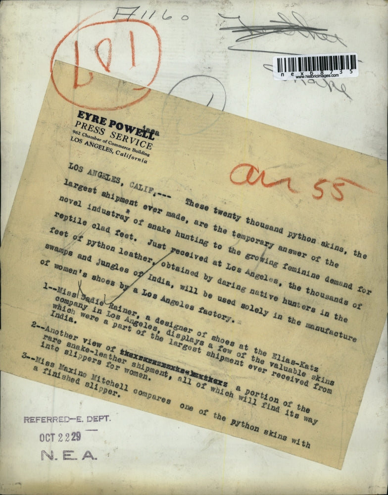 1929 Press Photo La Calif Miss Maxine Mitchell & python skins